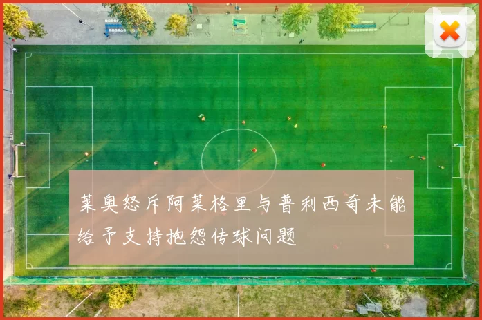 莱奥怒斥阿莱格里与普利西奇未能给予支持抱怨传球问题